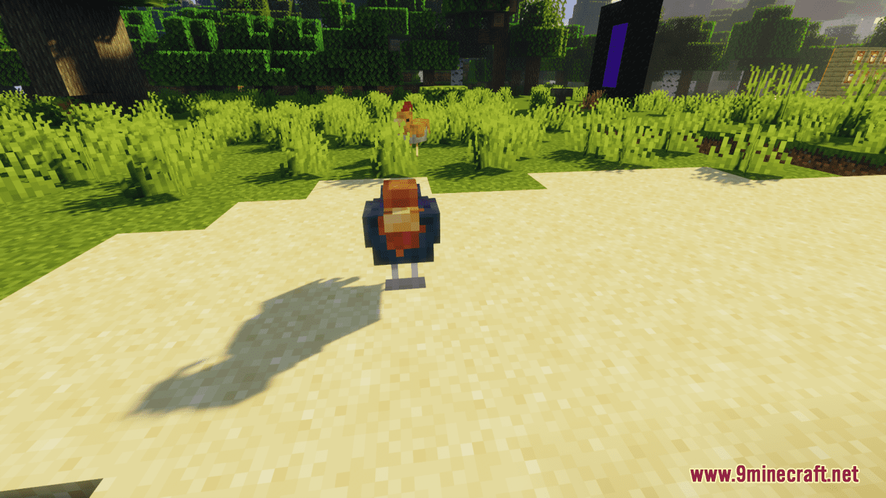 Cluckier Chickens Resource Pack (1.20.6, 1.20.1) - Texture Pack 5