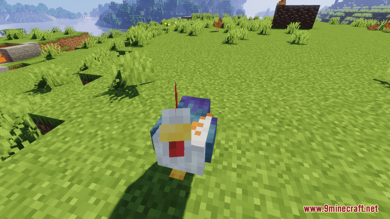 Cluckier Chickens Resource Pack (1.20.6, 1.20.1) - Texture Pack 7