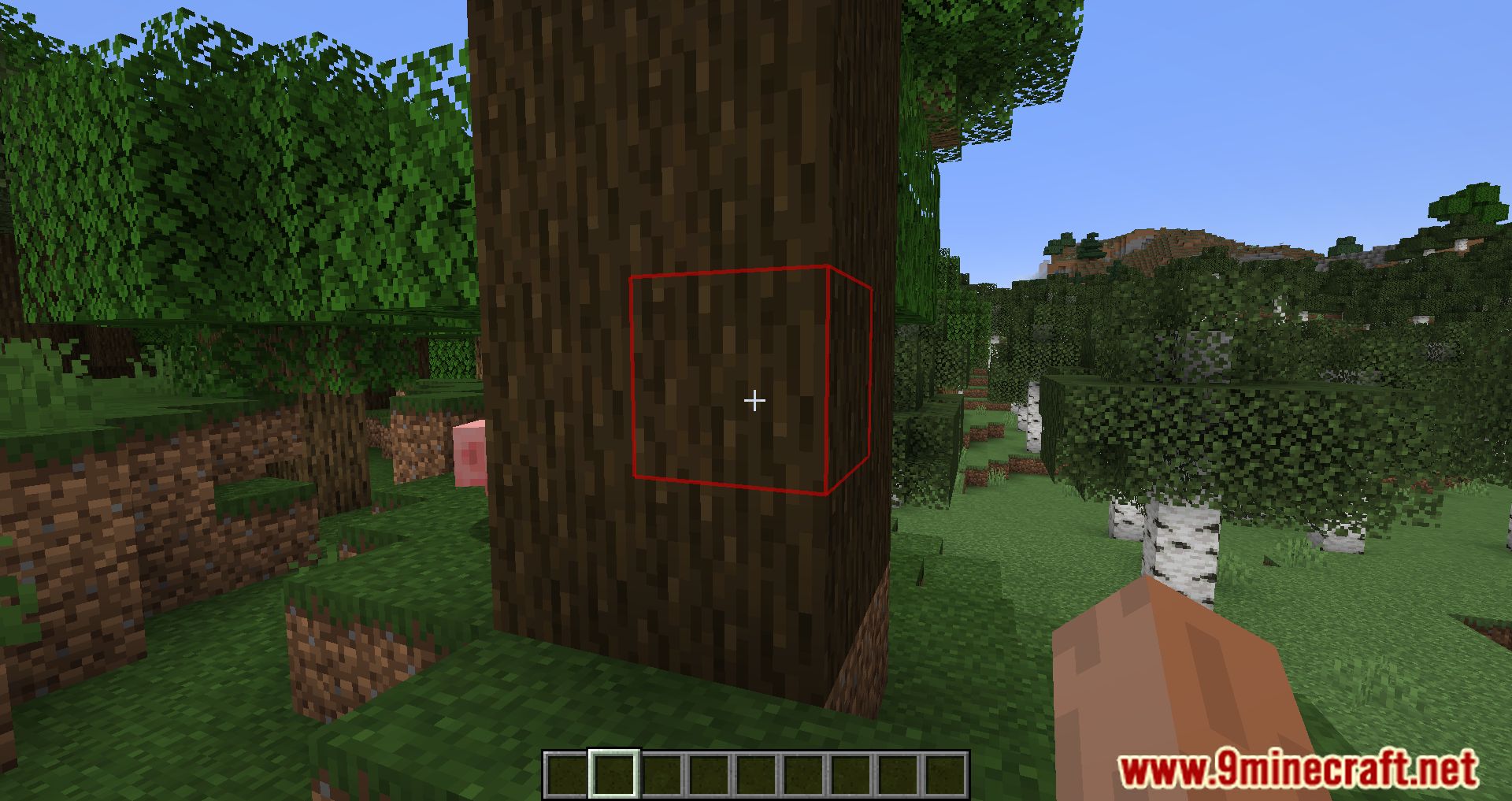 Color Me Outlines Mod (1.20.1, 1.19.4) - Configure The Size And Color Of The Block Highlight 16