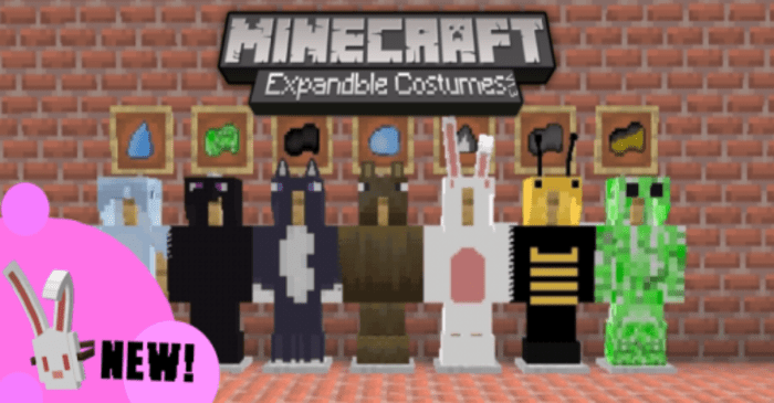 Expandable Costumes Addon (1.20, 1.19) - MCPE/Bedrock Mod 1