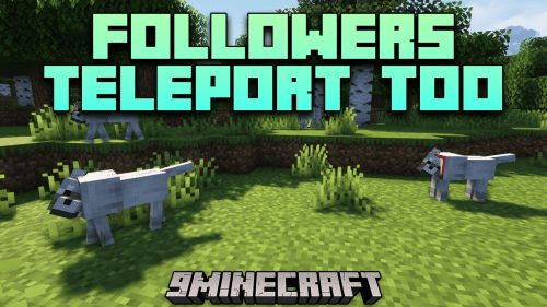 Followers Teleport Too Mod (1.20.4, 1.19.4) – Pets Can Teleport With You Thumbnail