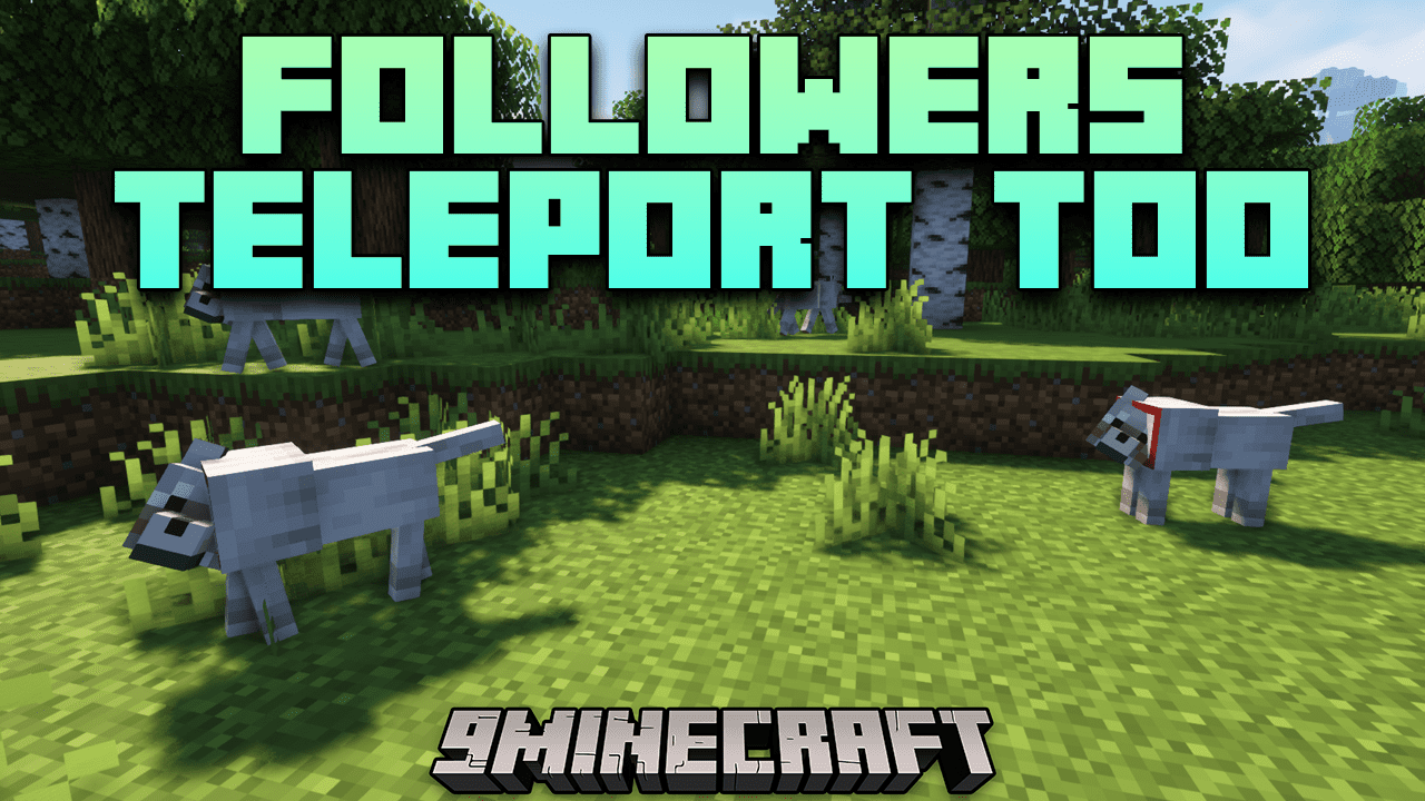 Followers Teleport Too Mod (1.20.4, 1.19.4) - Pets Can Teleport With You 1