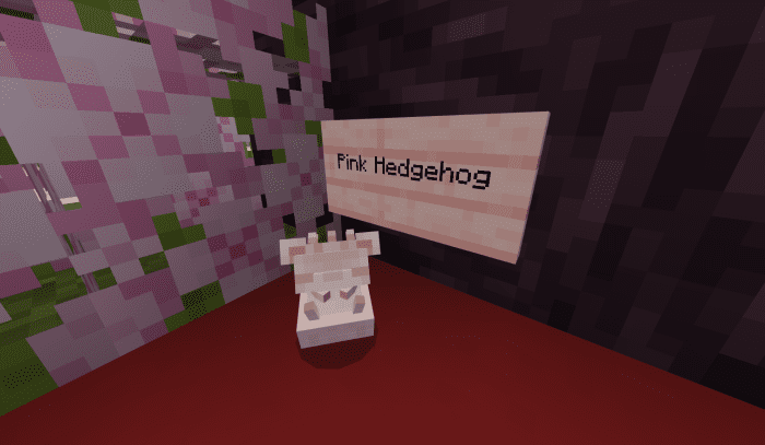 Kuma's Hedgehog Addon (1.20) - MCPE/Bedrock Mod 11