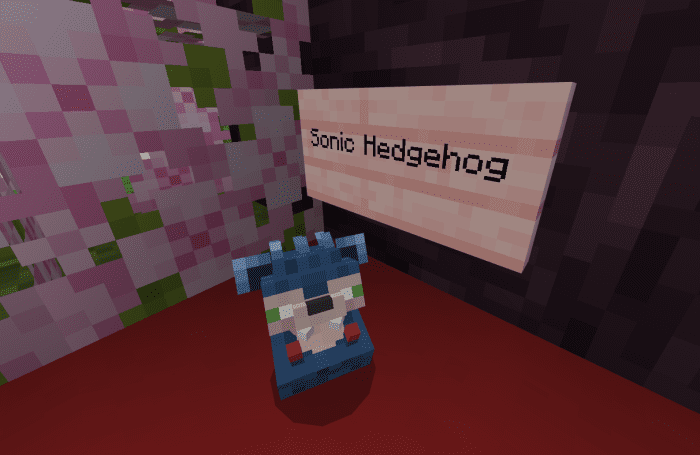 Kuma's Hedgehog Addon (1.20) - MCPE/Bedrock Mod 8