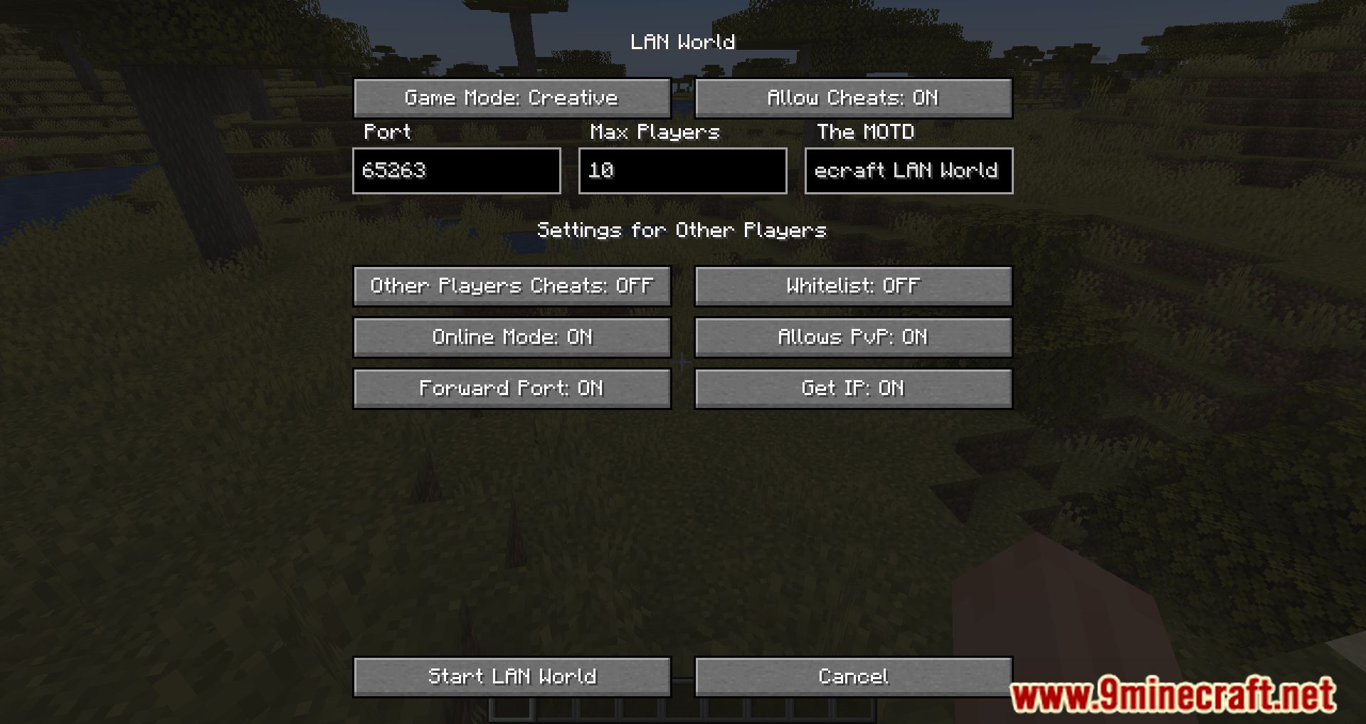 LAN World Plug-N-Play Mod (1.20.4, 1.19.4) - Utilities Server 3