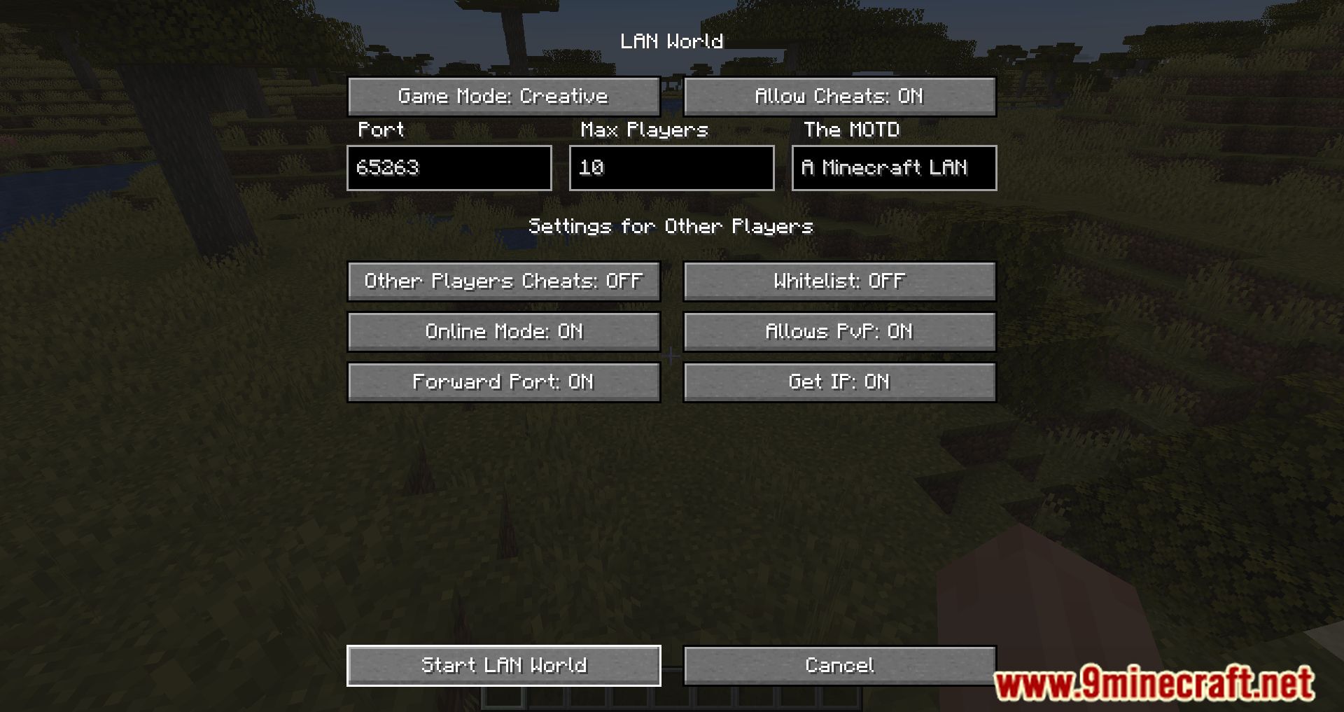 LAN World Plug-N-Play Mod (1.20.4, 1.19.4) - Utilities Server 5