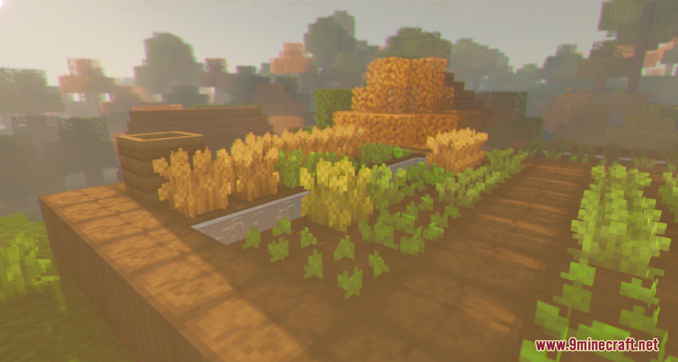 Melon Shaders (1.21, 1.20.1) - Based on BSL, Raspberry Shaders 2