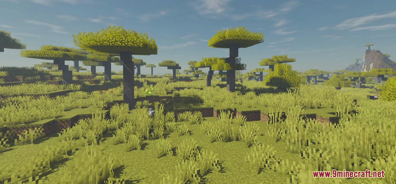 Melon Shaders (1.21, 1.20.1) - Based on BSL, Raspberry Shaders 8