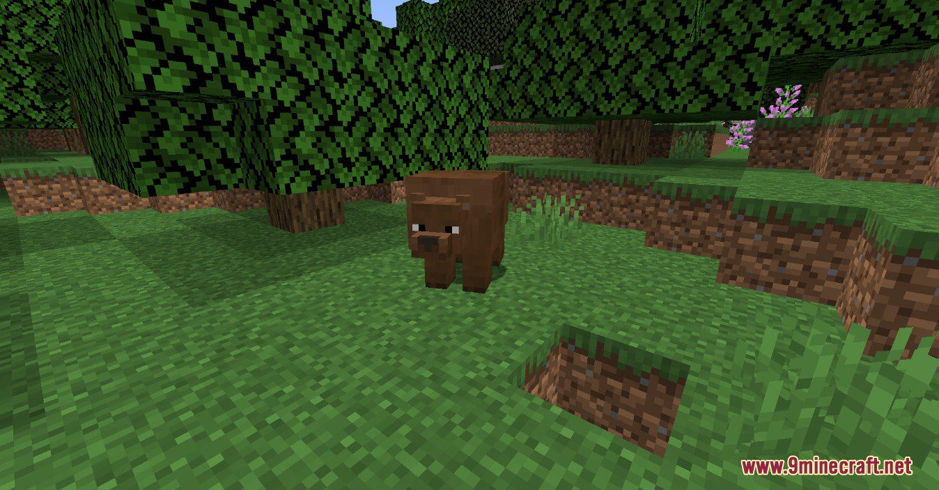 Noxgame's Animals Plus Mod (1.18.2, 1.16.5) - So Many Cute Mobs 11