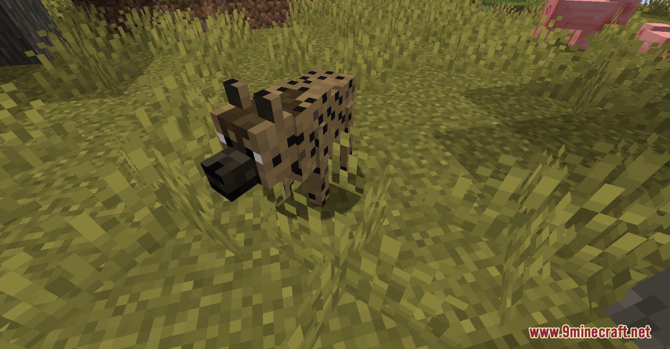 Noxgame's Animals Plus Mod (1.18.2, 1.16.5) - So Many Cute Mobs 17