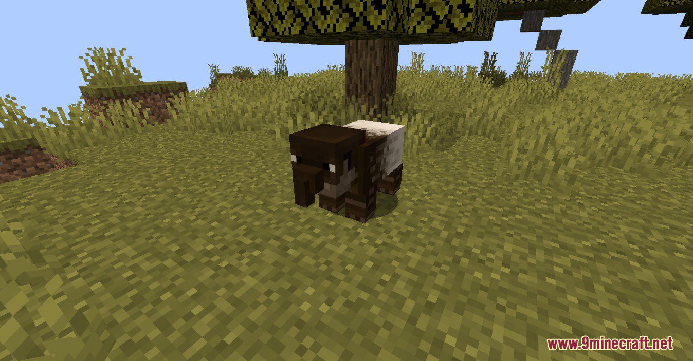 Noxgame's Animals Plus Mod (1.18.2, 1.16.5) - So Many Cute Mobs 9