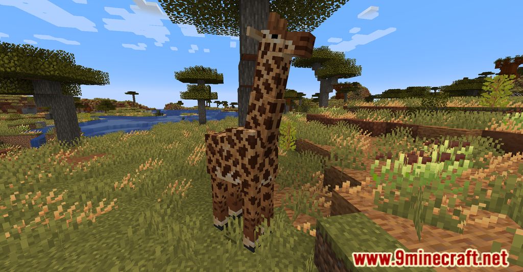 SafariCraft Mod (1.19.2) - Explore a new Ecosystem 9