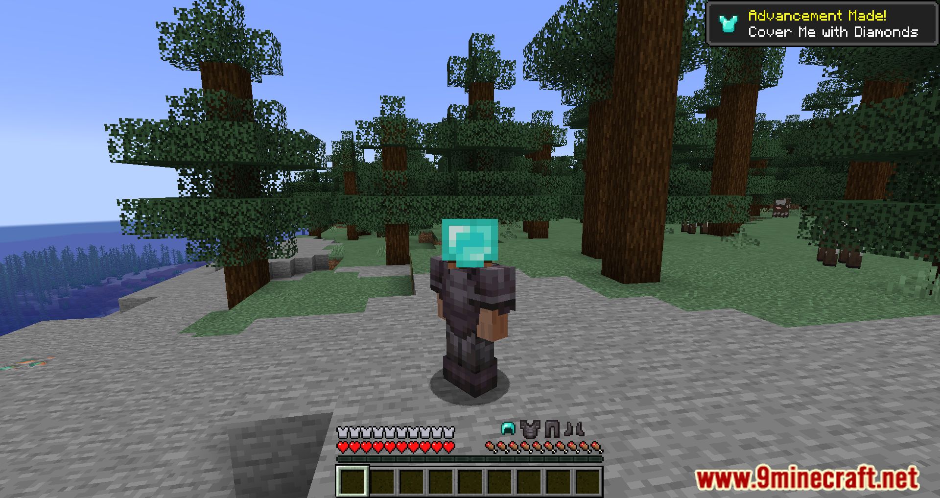 Simple Armor Hud Mod (1.20.4, 1.19.4) - View Your Armor Quickly!! 6