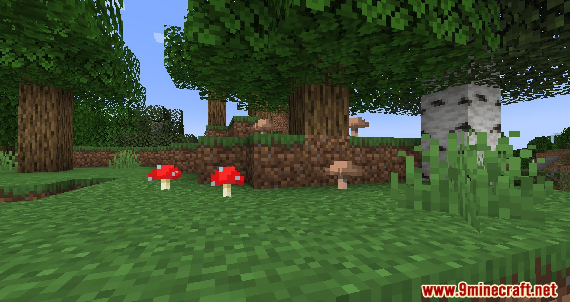 Surface Mushrooms Mod (1.20.4, 1.19.4) - Let The Sun Shine Bright! 11