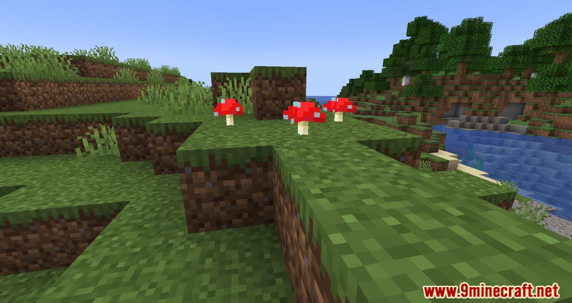 Surface Mushrooms Mod (1.20.4, 1.19.4) - Let The Sun Shine Bright! 3