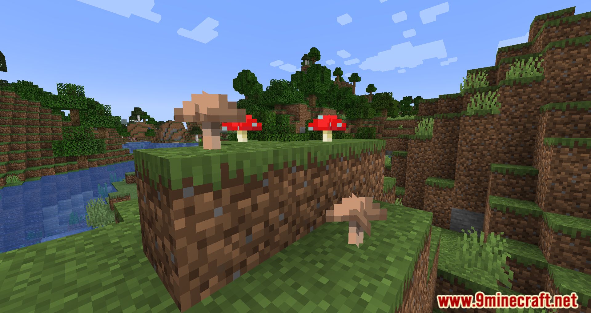 Surface Mushrooms Mod (1.20.4, 1.19.4) - Let The Sun Shine Bright! 7