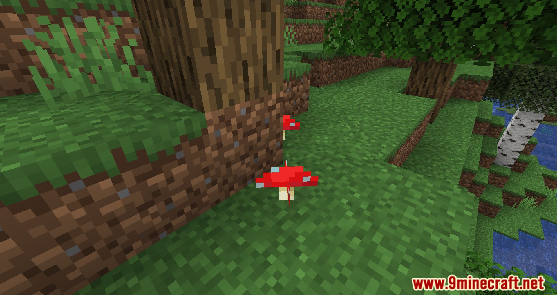 Surface Mushrooms Mod (1.20.4, 1.19.4) - Let The Sun Shine Bright! 9