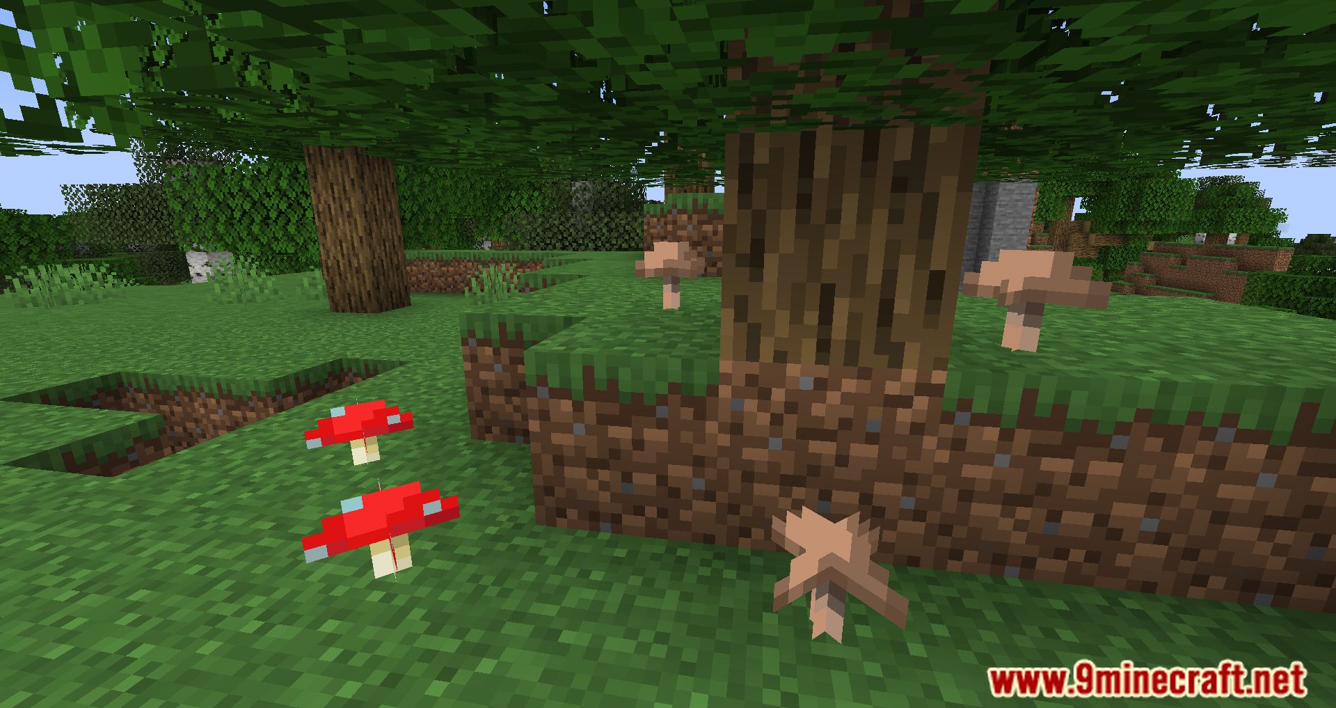 Surface Mushrooms Mod (1.20.4, 1.19.4) - Let The Sun Shine Bright! 10