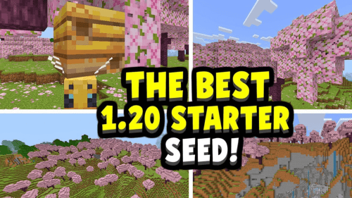 Best Minecraft Seeds For New Player (1.20.6, 1.20.1) – Java/Bedrock Edition Thumbnail