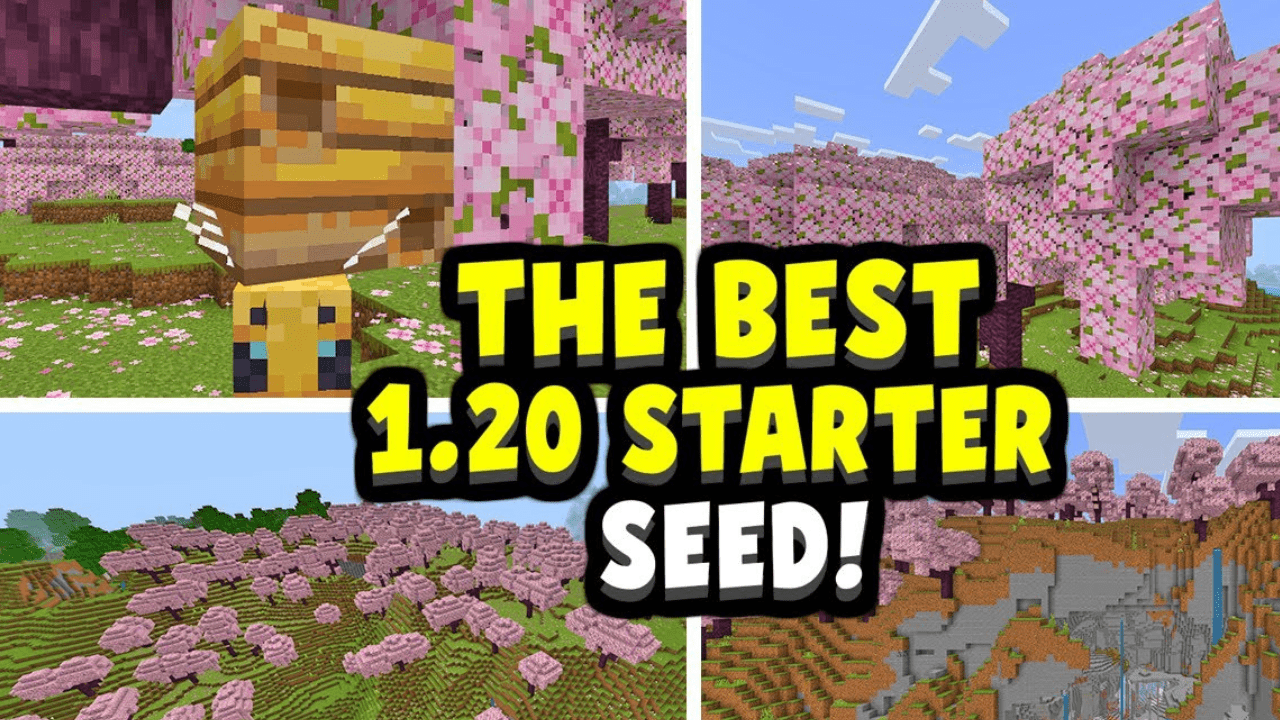 Best Minecraft Seeds For New Player (1.20.6, 1.20.1) - Java/Bedrock Edition 1