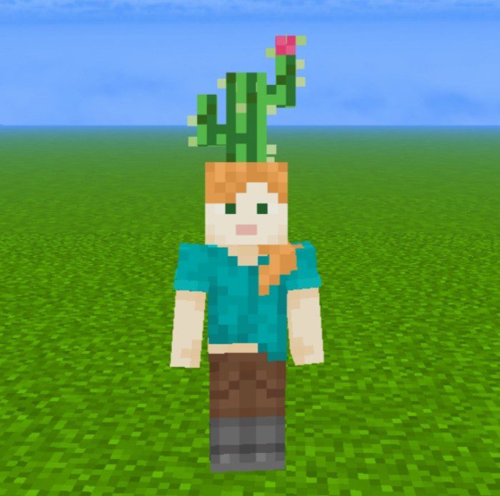 Utilities Animated Hats Addon (1.19) - MCPE/Bedrock Mod 20