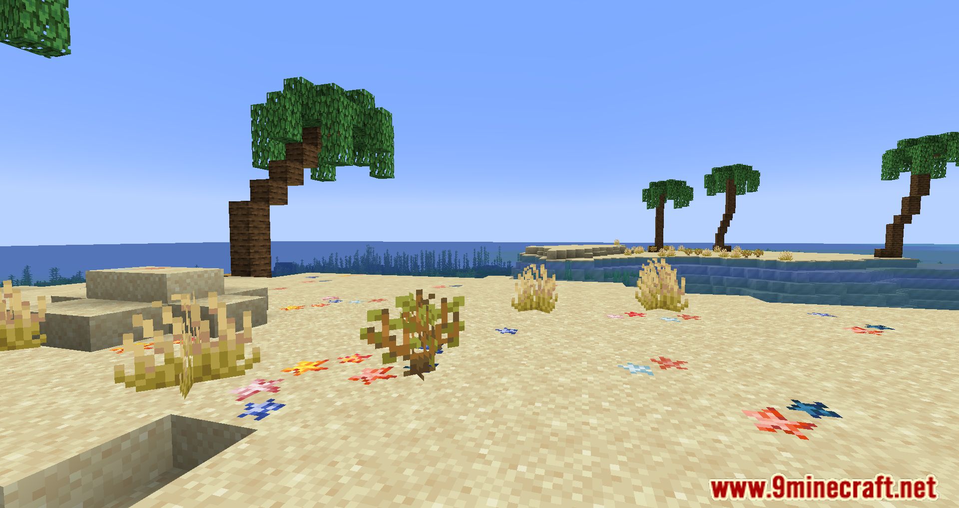 Beachparty Mod (1.20.1, 1.19.2) - Transforming Minecraft into A Tropical Paradise 3