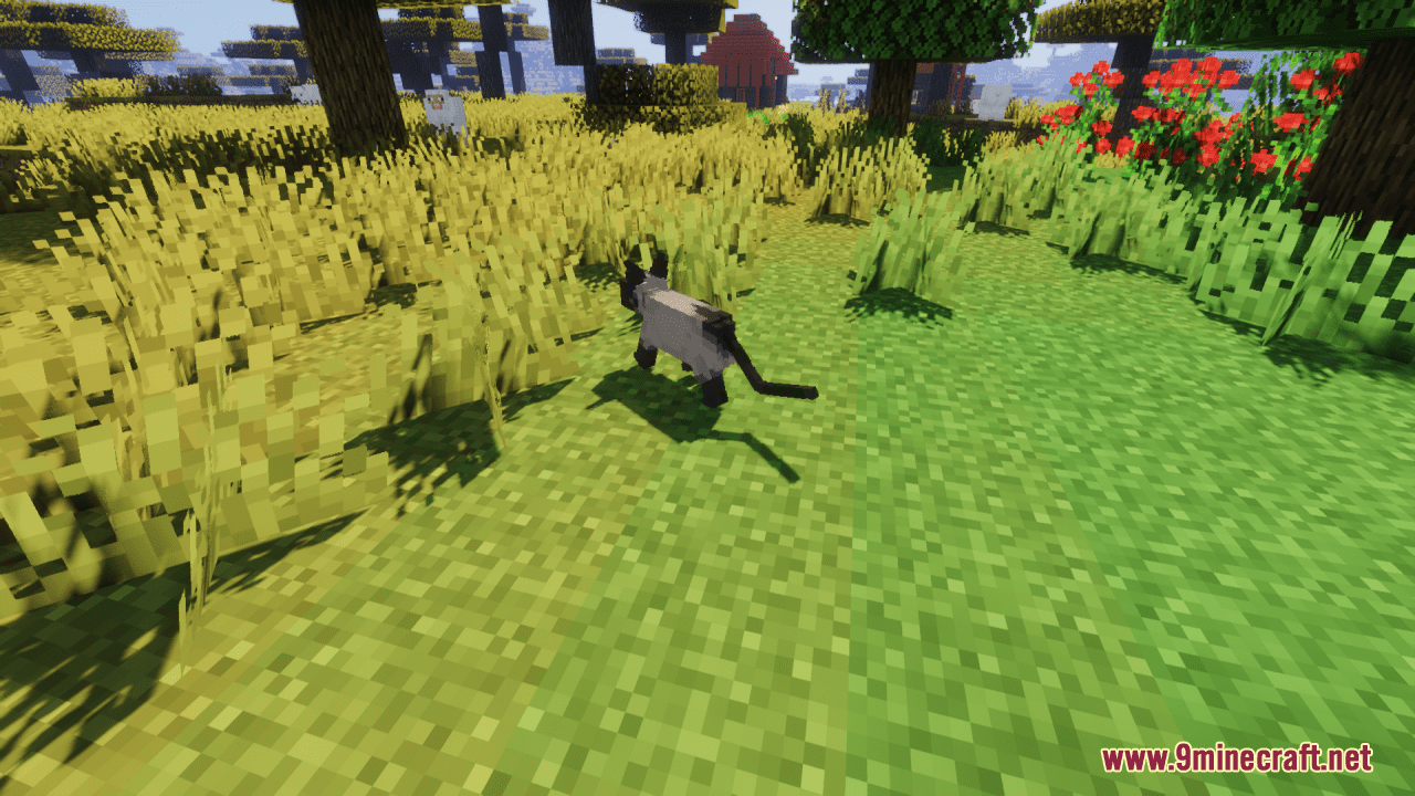 Better Cats Resource Pack (1.20.6, 1.20.1) - Texture Pack 11