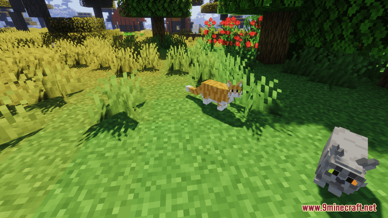 Better Cats Resource Pack (1.20.6, 1.20.1) - Texture Pack 12