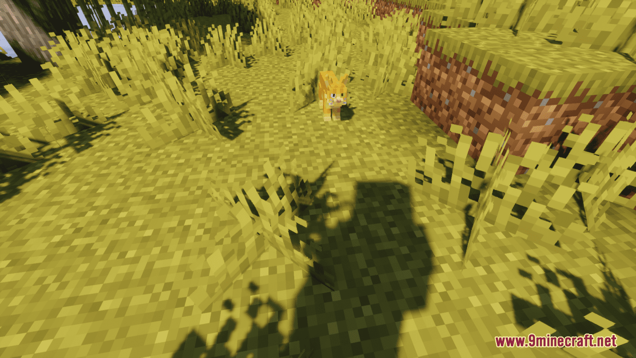 Better Cats Resource Pack (1.20.6, 1.20.1) - Texture Pack 3