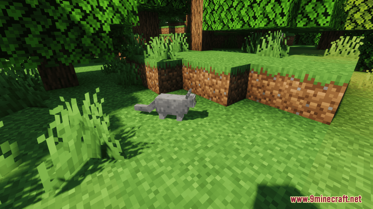 Better Cats Resource Pack (1.20.6, 1.20.1) - Texture Pack 8