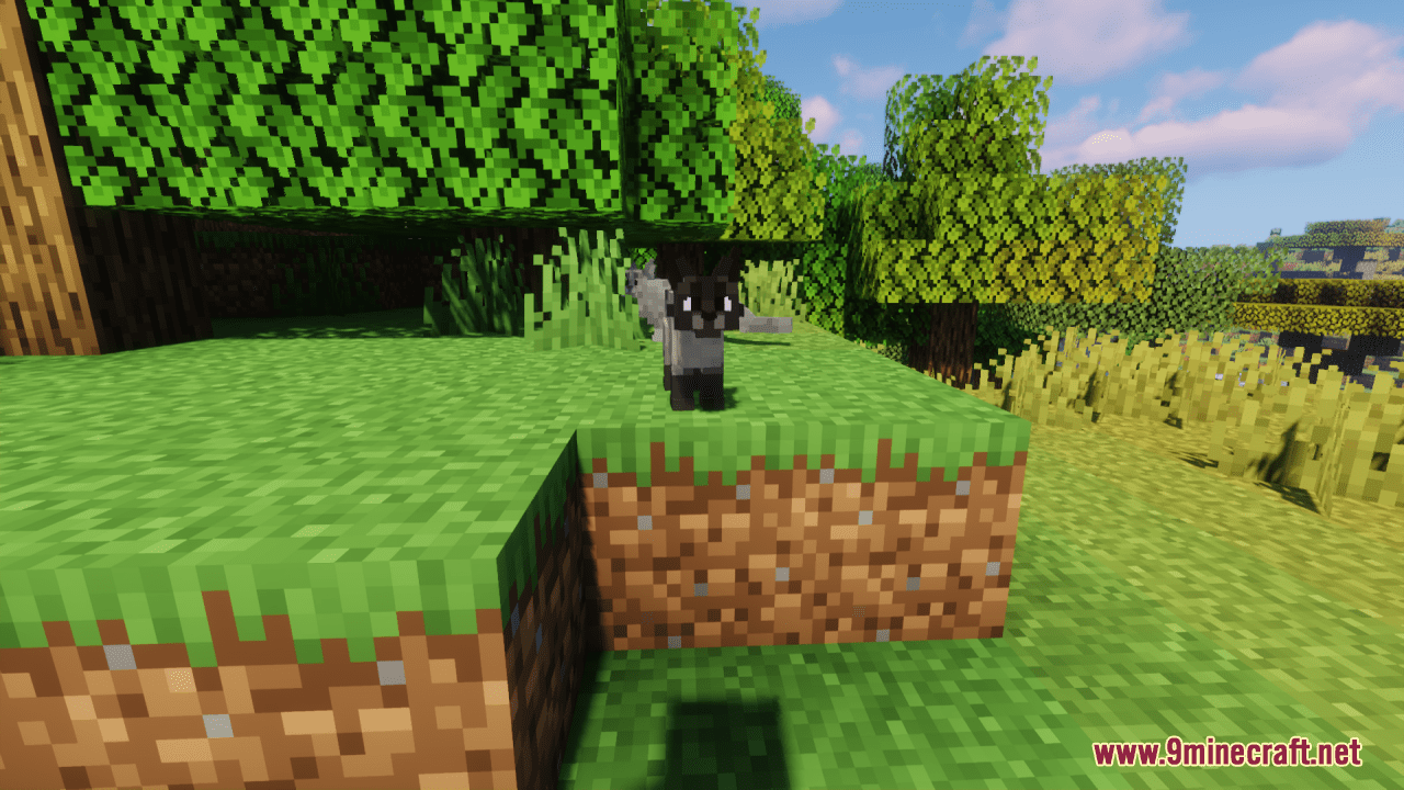 Better Cats Resource Pack (1.20.6, 1.20.1) - Texture Pack 10