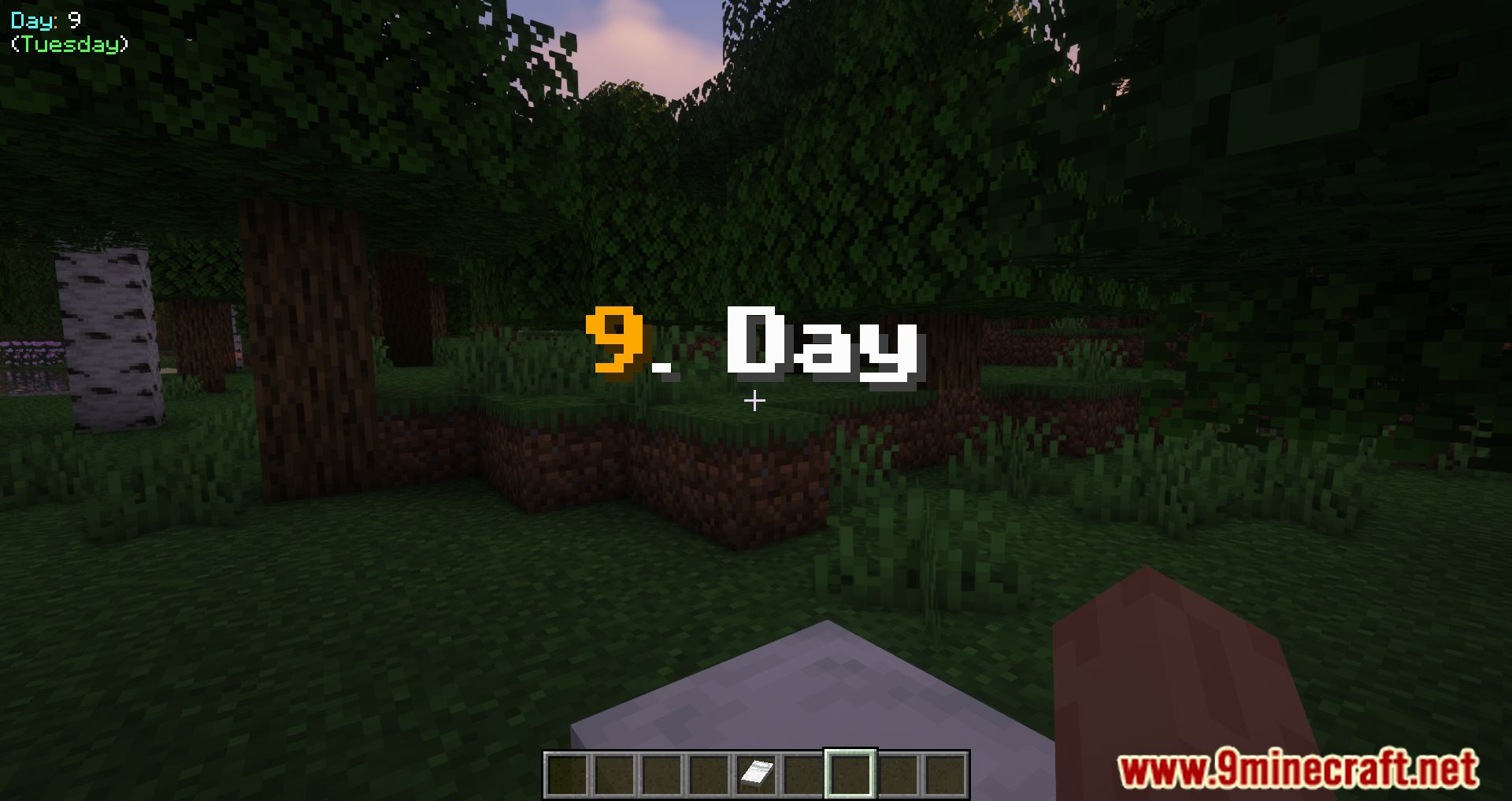 Day Counter Mod (1.20.4, 1.20.1) - Keep Track of Your Minecraft Days 9