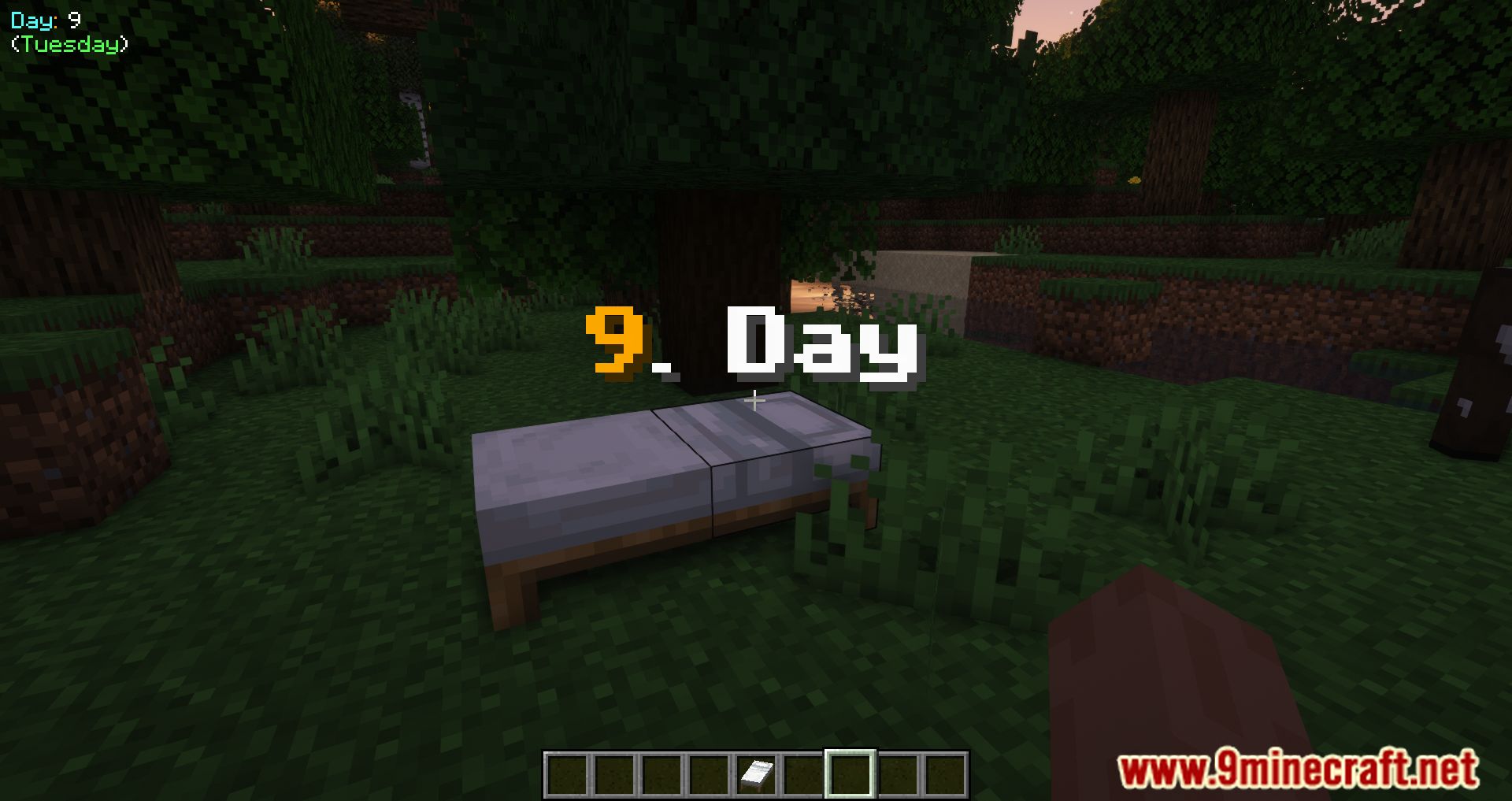 Day Counter Mod (1.20.4, 1.20.1) - Keep Track of Your Minecraft Days 10