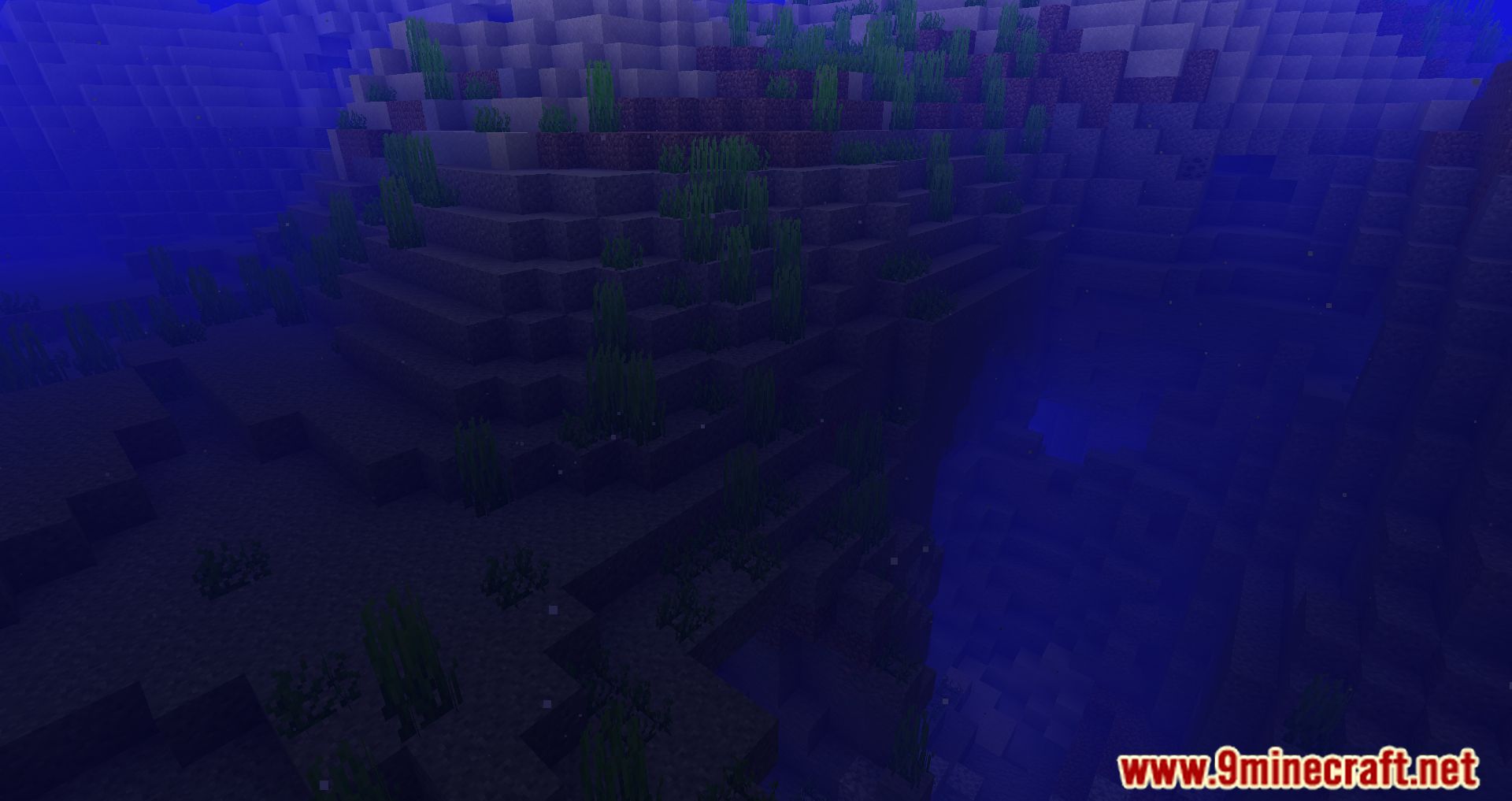 Deeper Oceans Mod (1.20.2, 1.19.4) - Dive Into A Whole New Underwater Experience 4