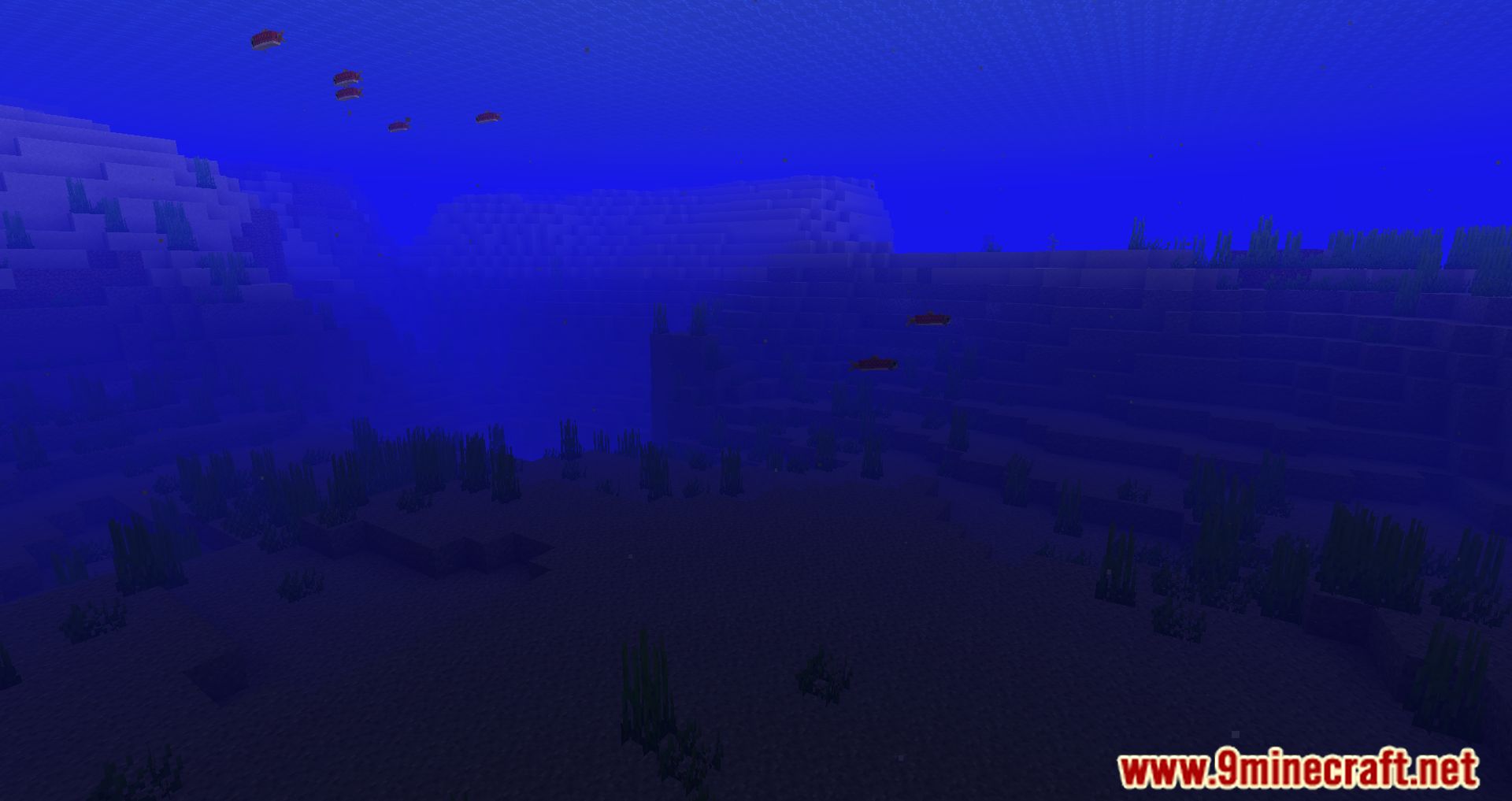 Deeper Oceans Mod (1.20.2, 1.19.4) - Dive Into A Whole New Underwater Experience 5