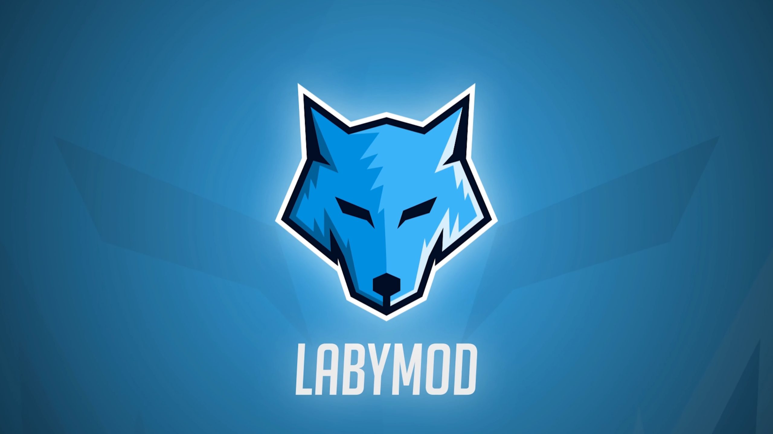 LabyMod Client Launcher (1.21, 1.20.1) - Upgrade Your Minecraft Experience 1