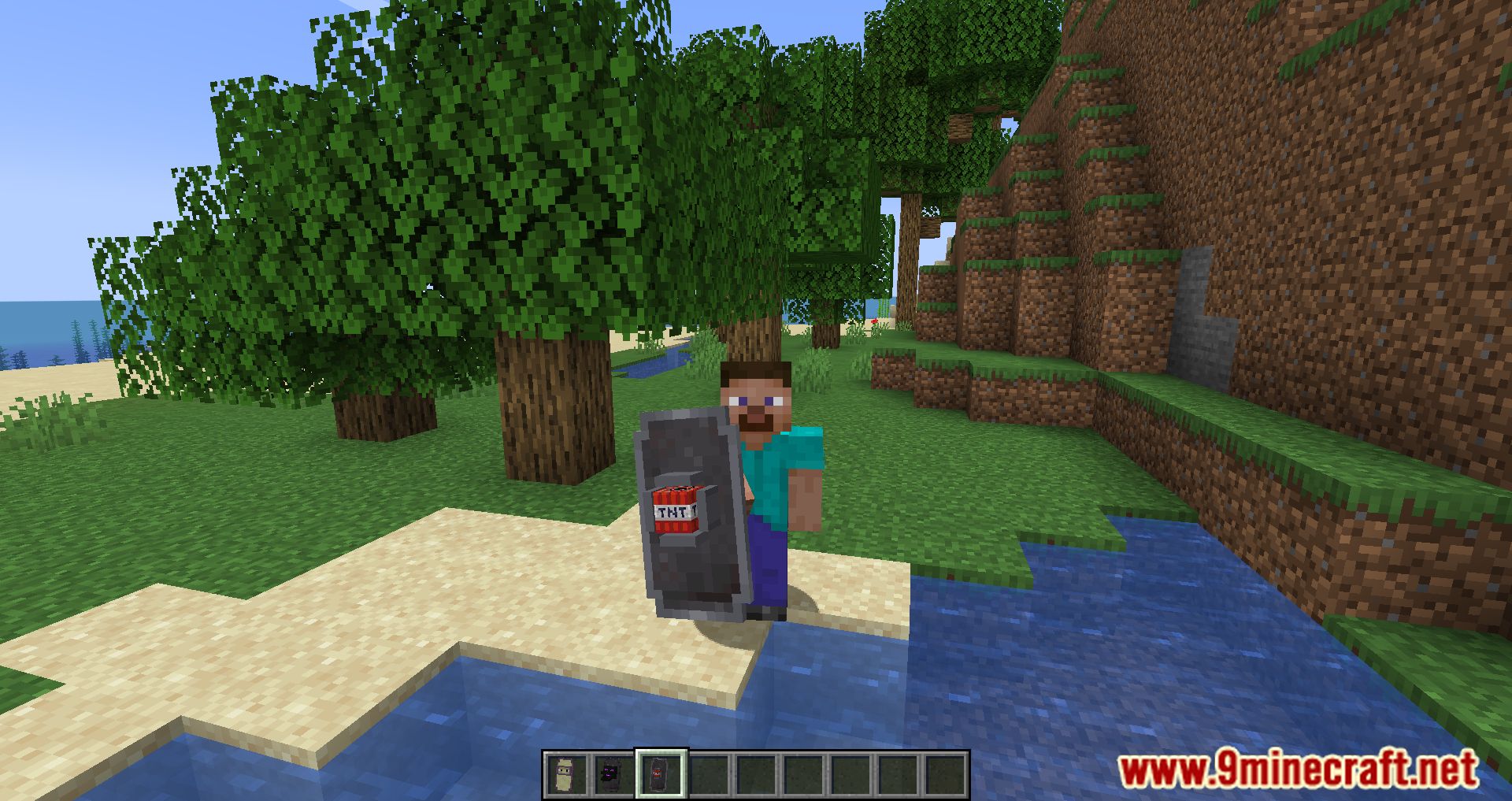 New Shield Variants Mod (1.20.4, 1.20.1) - A New Era of Defense in Minecraft 15