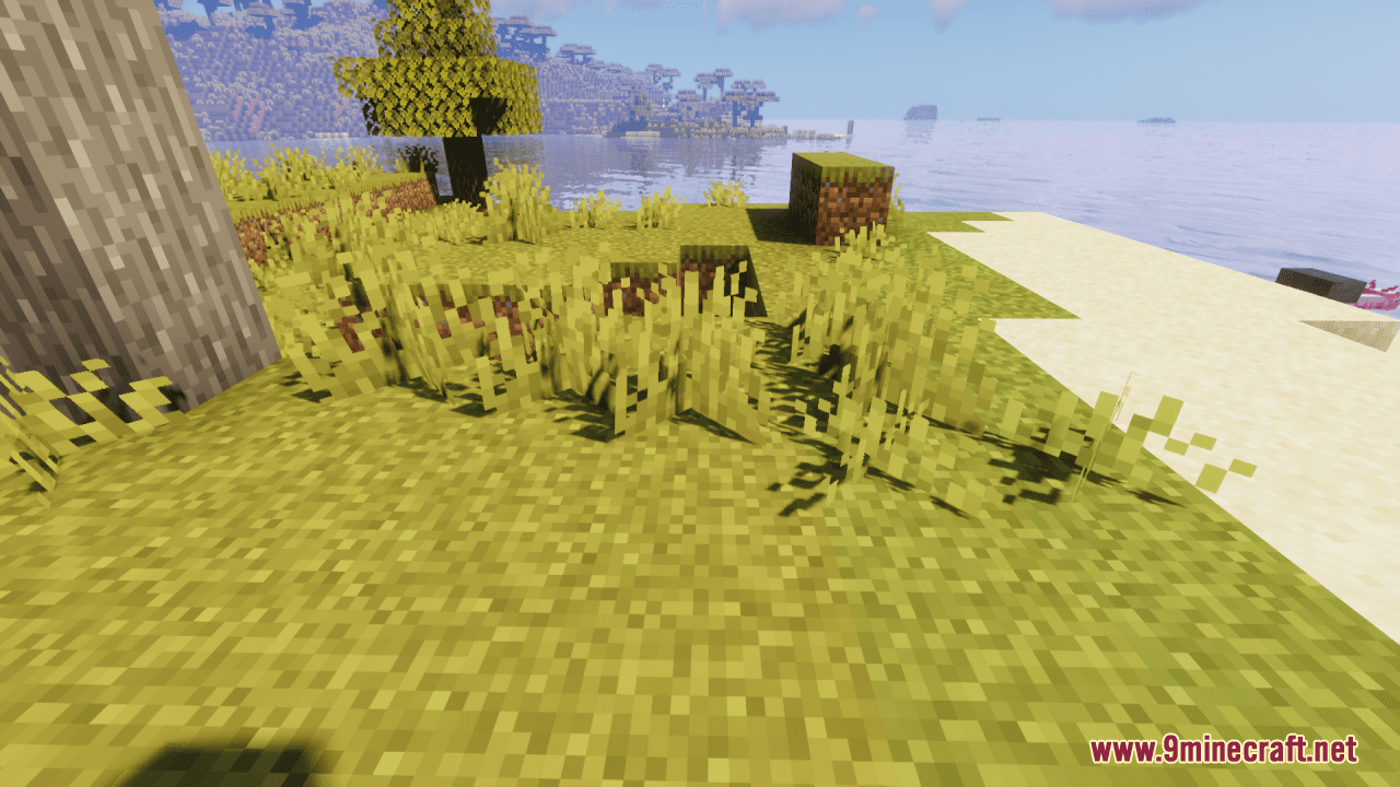 Variated Grasses Resource Pack (1.20.6, 1.20.1) - Texture Pack 2