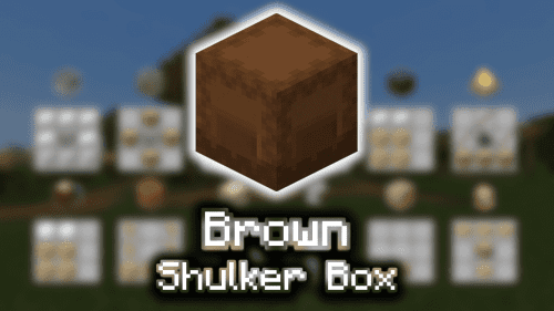 Brown Shulker Box – Wiki Guide Thumbnail