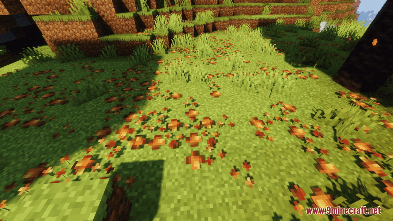 Autumn Trees And Leaves Resource Pack (1.20.6, 1.20.1) - Texture Pack 6