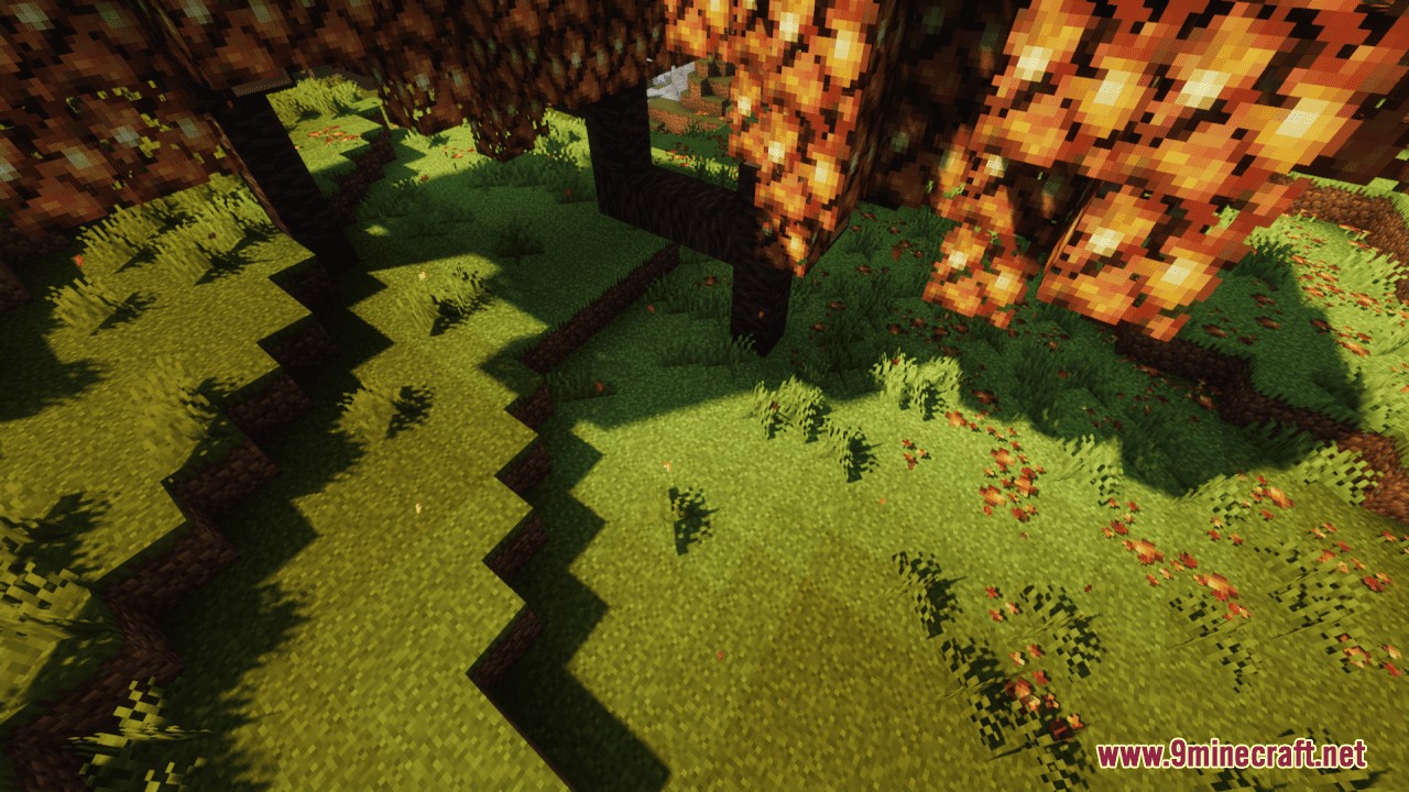 Autumn Trees And Leaves Resource Pack (1.20.6, 1.20.1) - Texture Pack 10