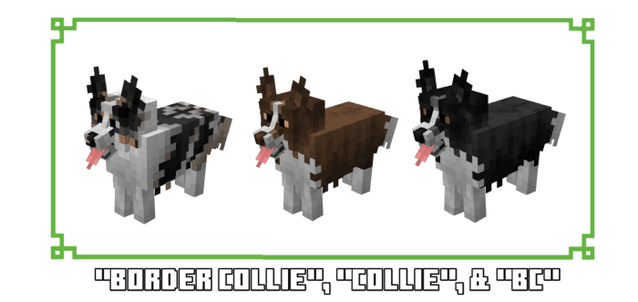 Better Dogs Texture Pack (1.20, 1.19) - MCPE/Bedrock 5