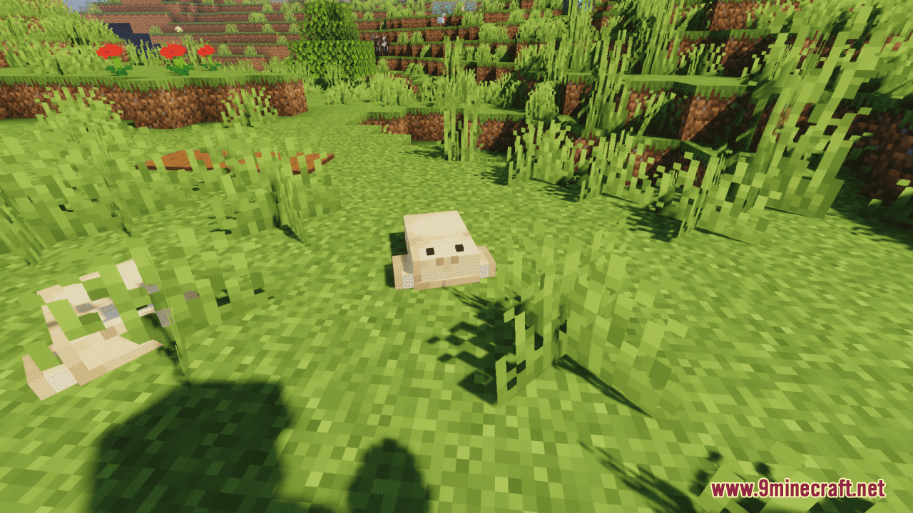 Better Frogs Resource Pack (1.20.6, 1.20.1) - Texture Pack 3