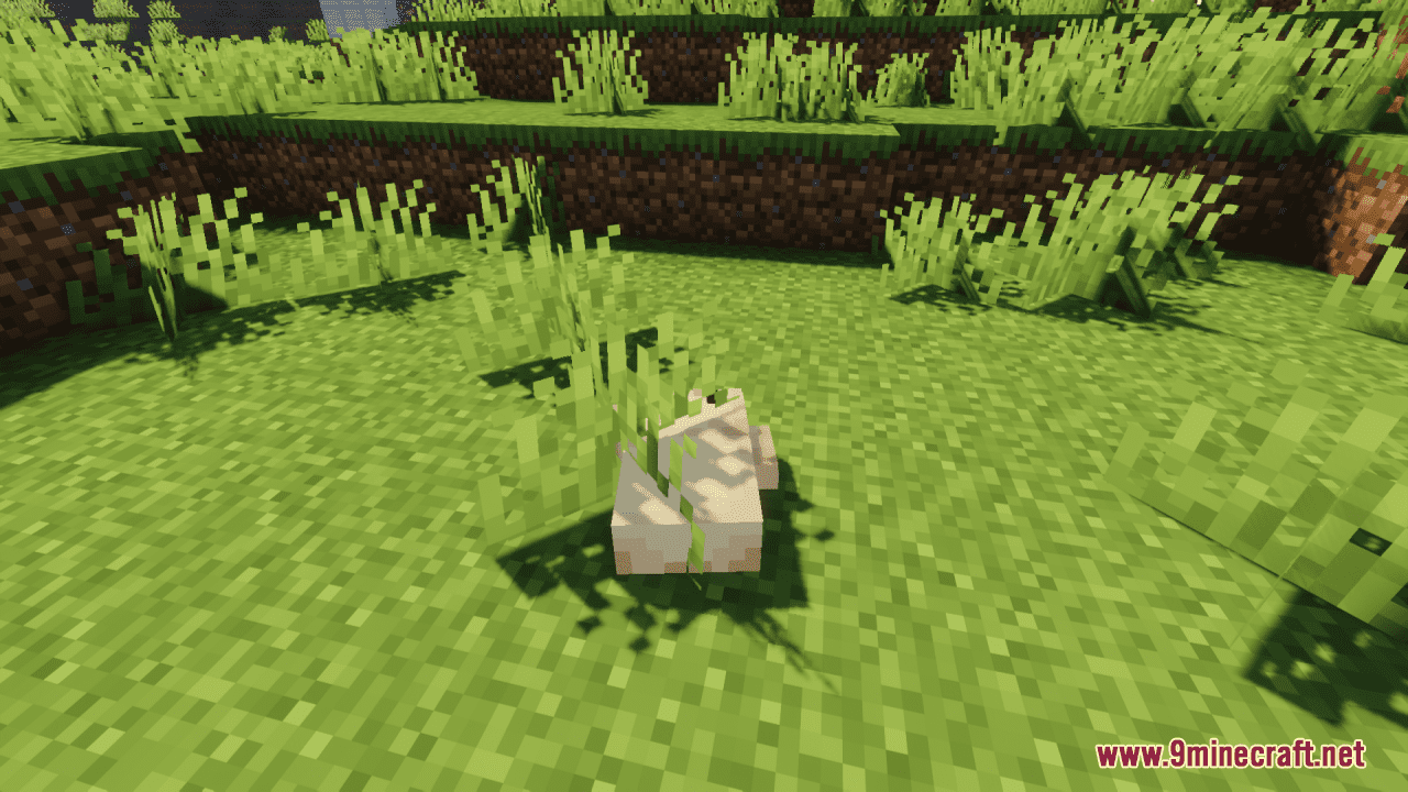 Better Frogs Resource Pack (1.20.6, 1.20.1) - Texture Pack 4