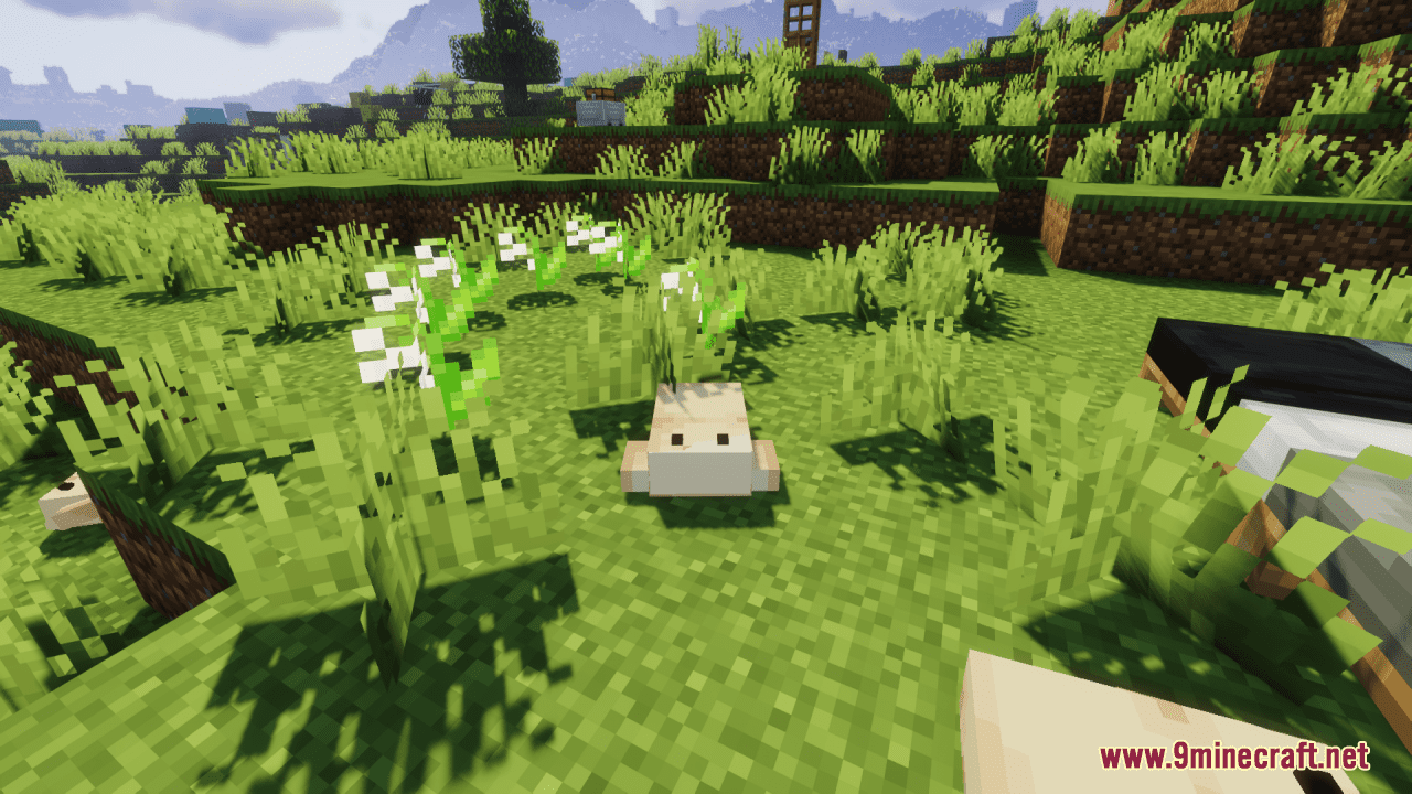 Better Frogs Resource Pack (1.20.6, 1.20.1) - Texture Pack 5