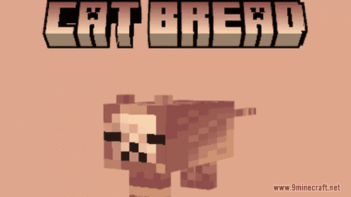 Cat Bread Resource Pack (1.20.6, 1.20.1) – Texture Pack Thumbnail