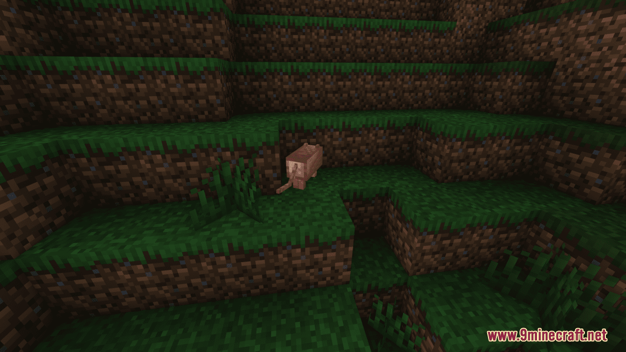 Cat Bread Resource Pack (1.20.6, 1.20.1) - Texture Pack 7