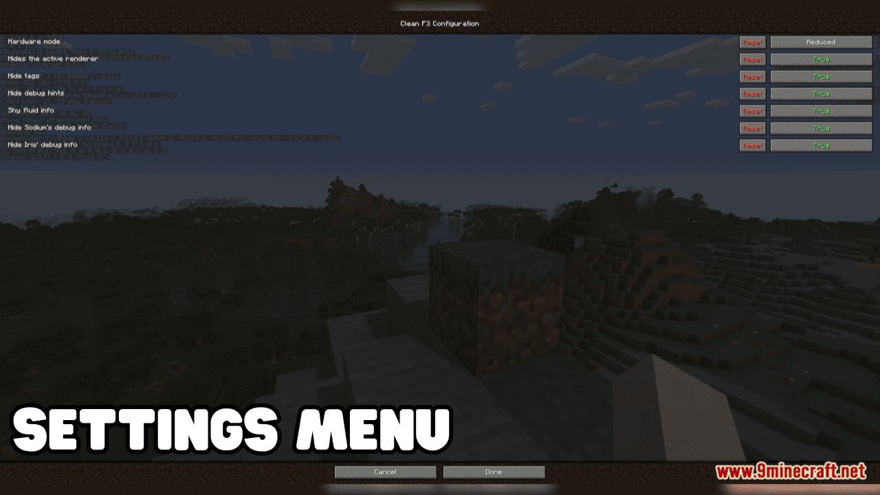 Clean F3 Mod (1.20.4, 1.19.4) - Uncluttered Debug Screen 4