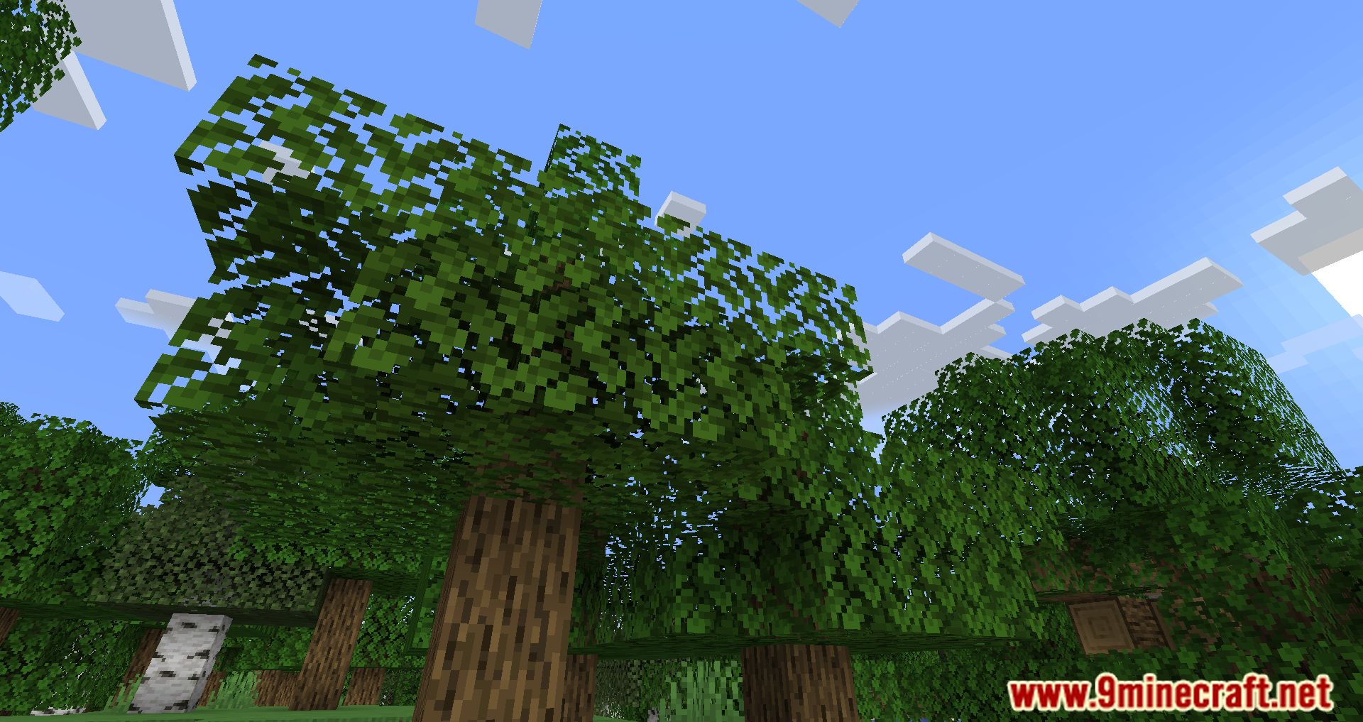 Cull Less Leaves Reforged Mod (1.20.2, 1.19.2) - Boosting Your Minecraft Visuals and Performance 3