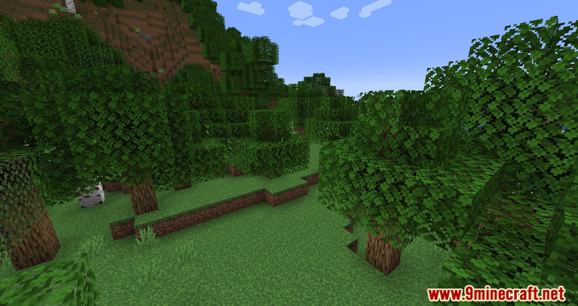 Cull Less Leaves Reforged Mod (1.20.2, 1.19.2) - Boosting Your Minecraft Visuals and Performance 4